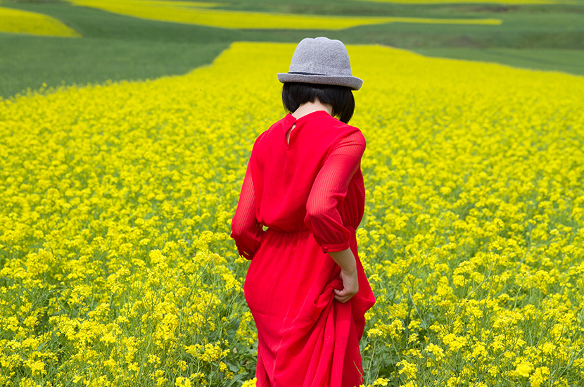 双泉油菜花